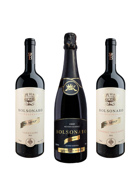 Combo Família - Vinhos Cabernet, Carmenere e Espumante Brut + E-book